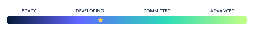 Maturity Continuum - Developing